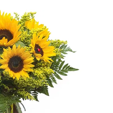 Cori flowers  -  Bunch of sunflowers Flower Bouquet/Arrangement