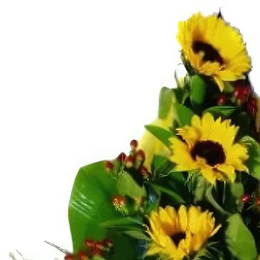 Portugal flowers  -  Yellow Mellow Flower Bouquet/Arrangement