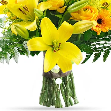 Oman flowers  -  Sunshine Elegance Flower Bouquet/Arrangement