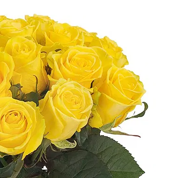 Italy flowers  -  Bunch of yellow roses Flower Bouquet/Arrangement