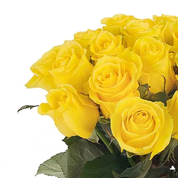 Italy flowers  -  Bunch of yellow roses Flower Bouquet/Arrangement