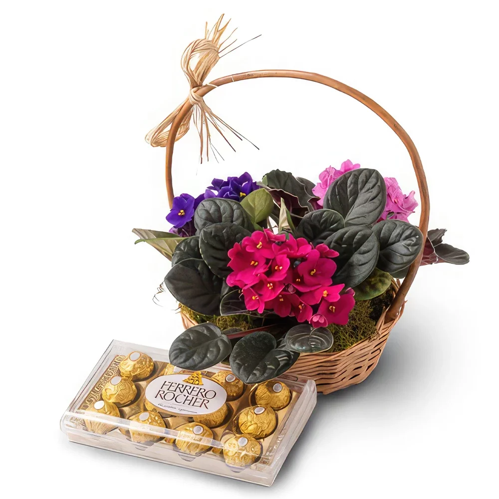 サンパウロ 花- 3つのスミレとチョコレートのバスケット 花束/フラワーアレンジメント