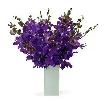 Pantoja blommor- Elegance B Bukett/blomsterarrangemang