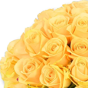 Garhoud flowers  -  Warm Peach Blooms for Special Moments Flower Bouquet/Arrangement