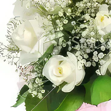 Cabo Balanco blommor- Mjuk vit Romantik Bukett/blomsterarrangemang
