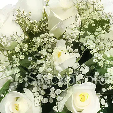 Cabo Balanco blommor- Mjuk vit Romantik Bukett/blomsterarrangemang