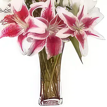 Ad Dilam blomster- Splended Mix Lilies Blomsterarrangementer bukett