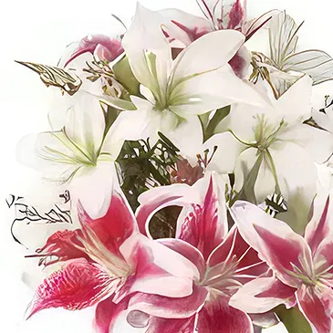 Ad Dilam blomster- Splended Mix Lilies Blomsterarrangementer bukett