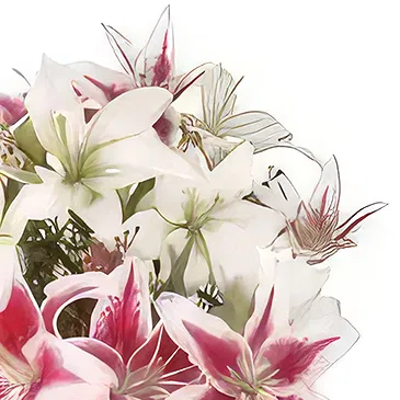 Ad Dilam blomster- Splended Mix Lilies Blomsterarrangementer bukett