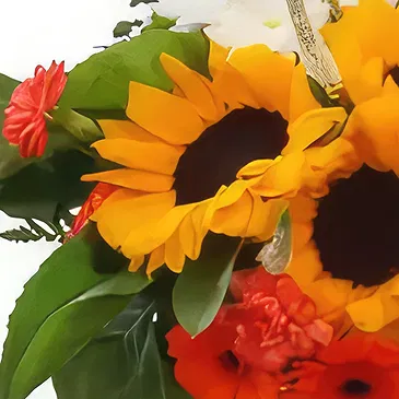 Lublin flowers  -  wish Flower Bouquet/Arrangement