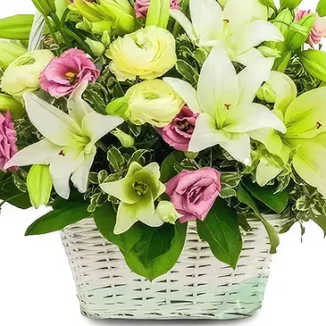 Javea flowers  -  Blush Blossom Delight Flower Bouquet/Arrangement