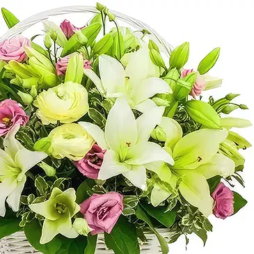Javea flowers  -  Blush Blossom Delight Flower Bouquet/Arrangement