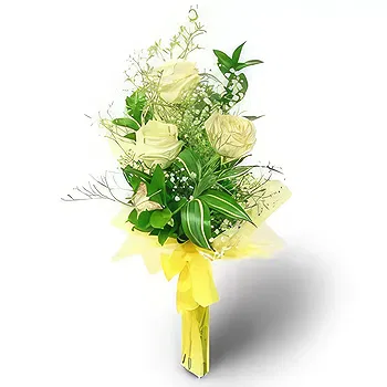Kravino flowers  -  A White Christmas Flower Delivery