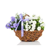 Vignone online Florist - Basket of White and Blue Flowering Plants Bouquet