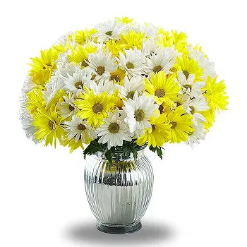 Serbia flowers  -  Passionate Vibes Flower Delivery