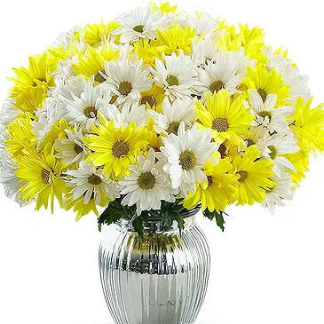 Prokuplje flowers  -  Passionate Vibes Flower Bouquet/Arrangement