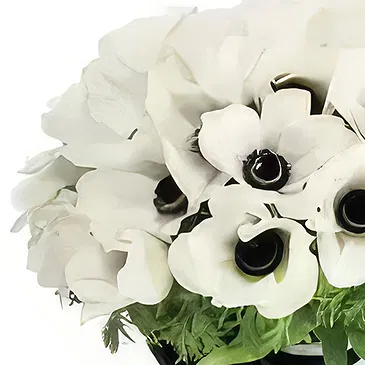 Sabana iglesia flowers  -  Black and White Romance Flower Bouquet/Arrangement