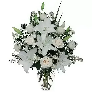 Ayer Puteh blomster- Hvid skønhed Blomst Levering