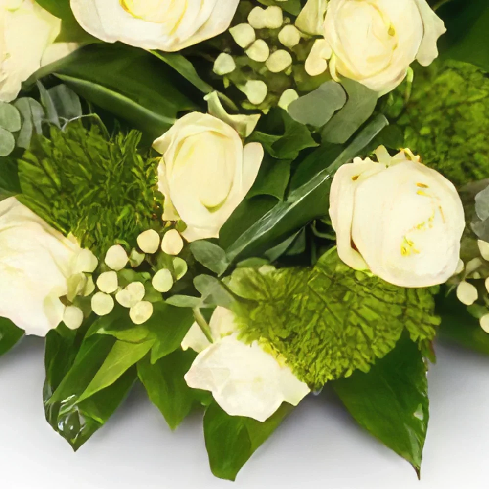 אמסטרדם פרחים- בידרמאייר לבן עם ירוק זר פרחים/סידור פרחים