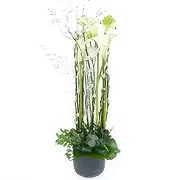 Le François online Florist - White composition in height Lima Bouquet