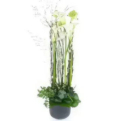 fleuriste fleurs de -  Bouquet/Arrangement floral