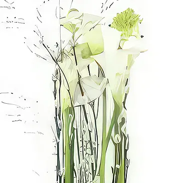 France flowers  -  White composition in height Lima Flower Bouquet/Arrangement
