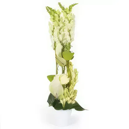  blommor-  Bukett/blomsterarrangemang