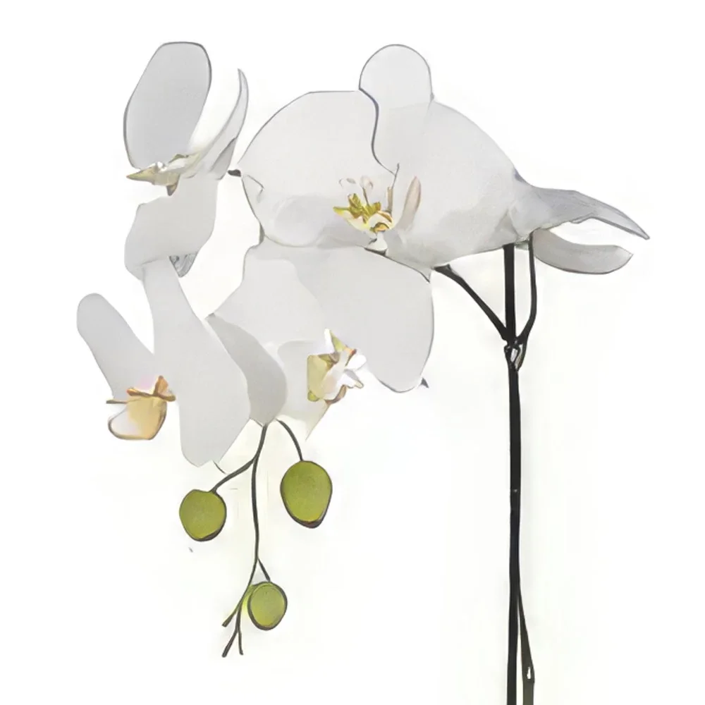 Braga bunga- Elegance Putih Sejambak/gubahan bunga