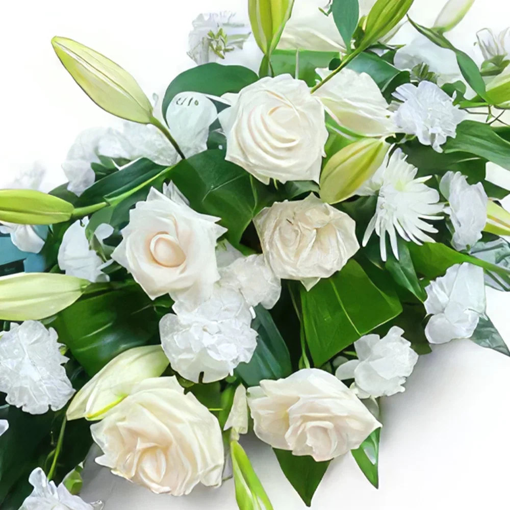 Ибиса цветя- Бели цветя Букет/договореност цвете