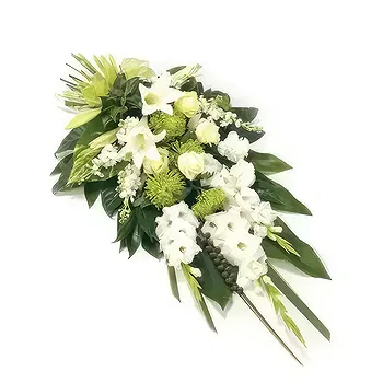 Swallow flowers  -  Sentiments Flower Delivery