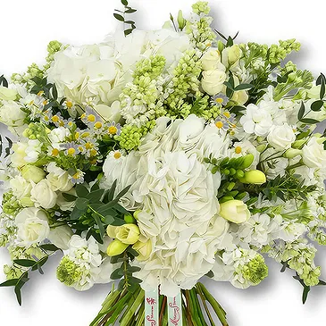 An-Najadah blomster- Hvit hortensia og freesiabukett Blomsterarrangementer bukett