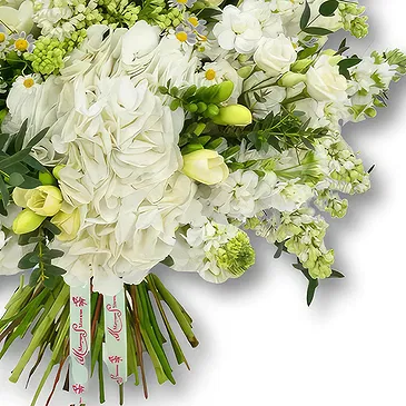 An-Najadah blomster- Hvit hortensia og freesiabukett Blomsterarrangementer bukett