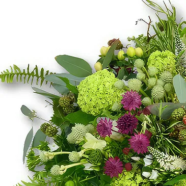 United Arab Emirates flowers  -  White Hydrangea and Veronica Flower Arrangeme Flower Bouquet/Arrangement