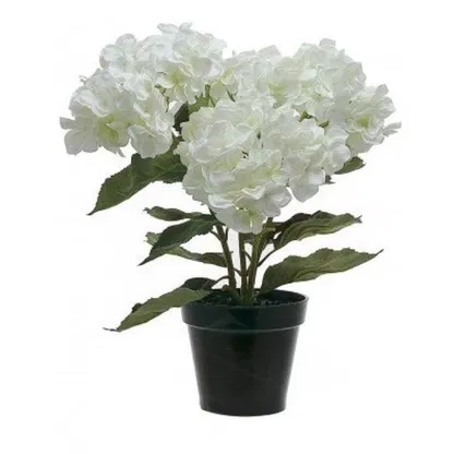 flores Italia floristeria -   Ramo de flores/arreglo floral