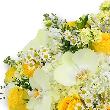 An-Najadah blomster- Hvite hortensiaer og gule roser i bukett Blomsterarrangementer bukett