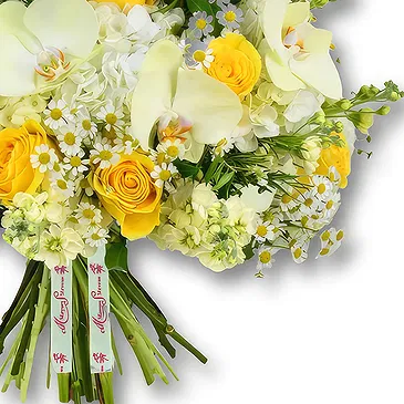An-Najadah blomster- Hvite hortensiaer og gule roser i bukett Blomsterarrangementer bukett