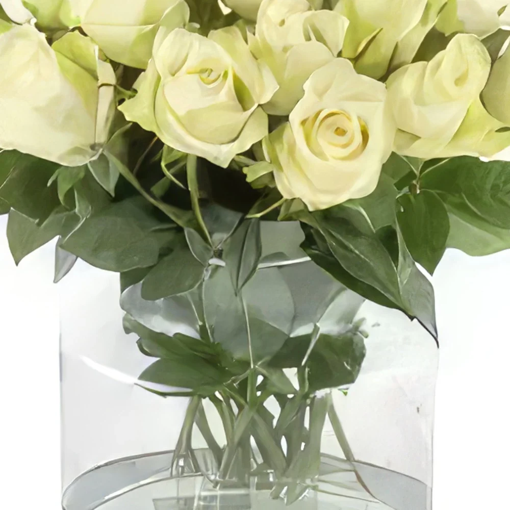 flores de Dusseldorf- Inocência branca Bouquet/arranjo de flor
