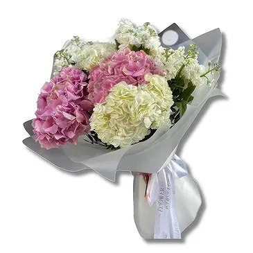 Abu Dhabi City flowers  -  White Matthiola and Pink Hydrangea Flower Bouquet/Arrangement