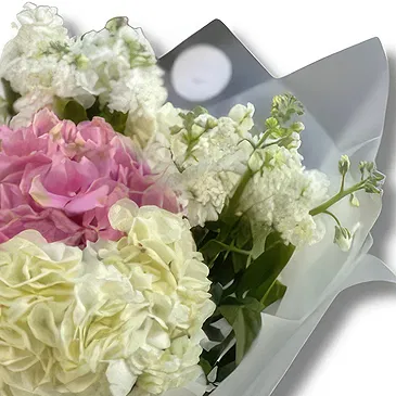 Abu Dhabi City flowers  -  White Matthiola and Pink Hydrangea Flower Bouquet/Arrangement