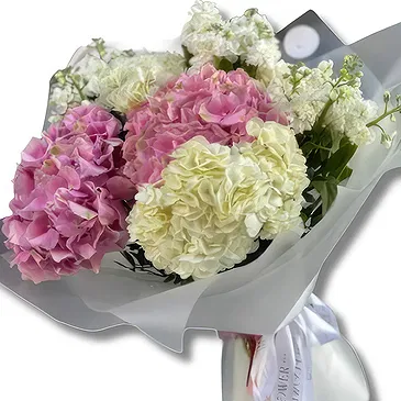 Abu Dhabi City flowers  -  White Matthiola and Pink Hydrangea Flower Bouquet/Arrangement