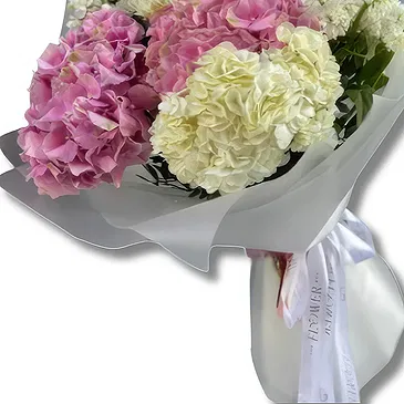 Abu Dhabi City flowers  -  White Matthiola and Pink Hydrangea Flower Bouquet/Arrangement