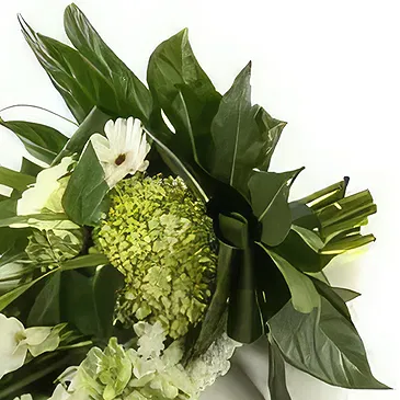 Kolding blomster- Begravelse buket hvid Blomst buket/Arrangement