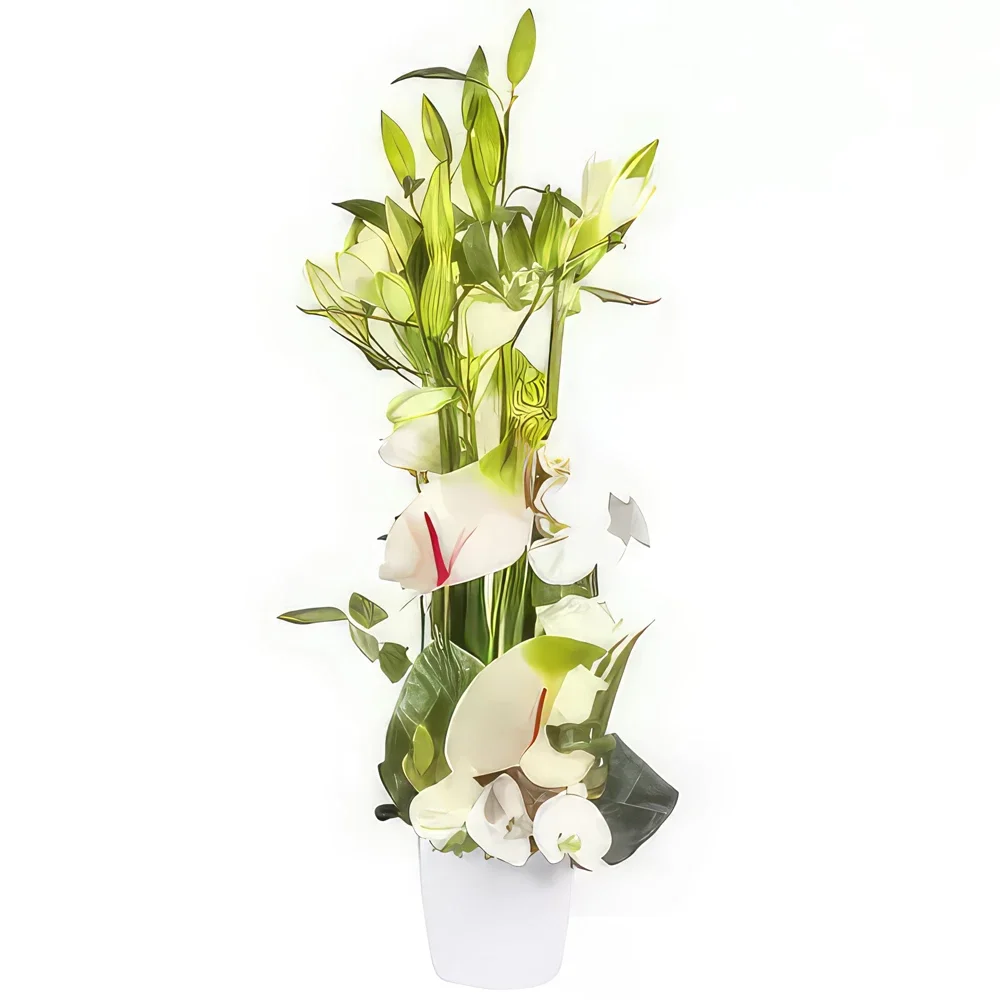 Tarbes cvijeća- Bijeli beze cvjetni aranžman Cvjetni buket/aranžman