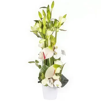 France flowers  -  White Meringue Flower Arrangement Delivery