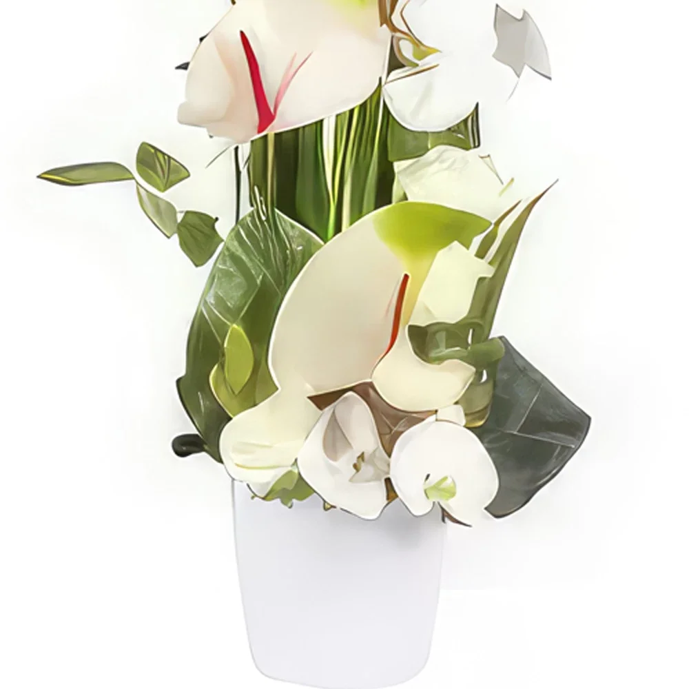 بائع زهور مونبلييه- تنسيق زهرة المرينغ الأبيض باقة الزهور
