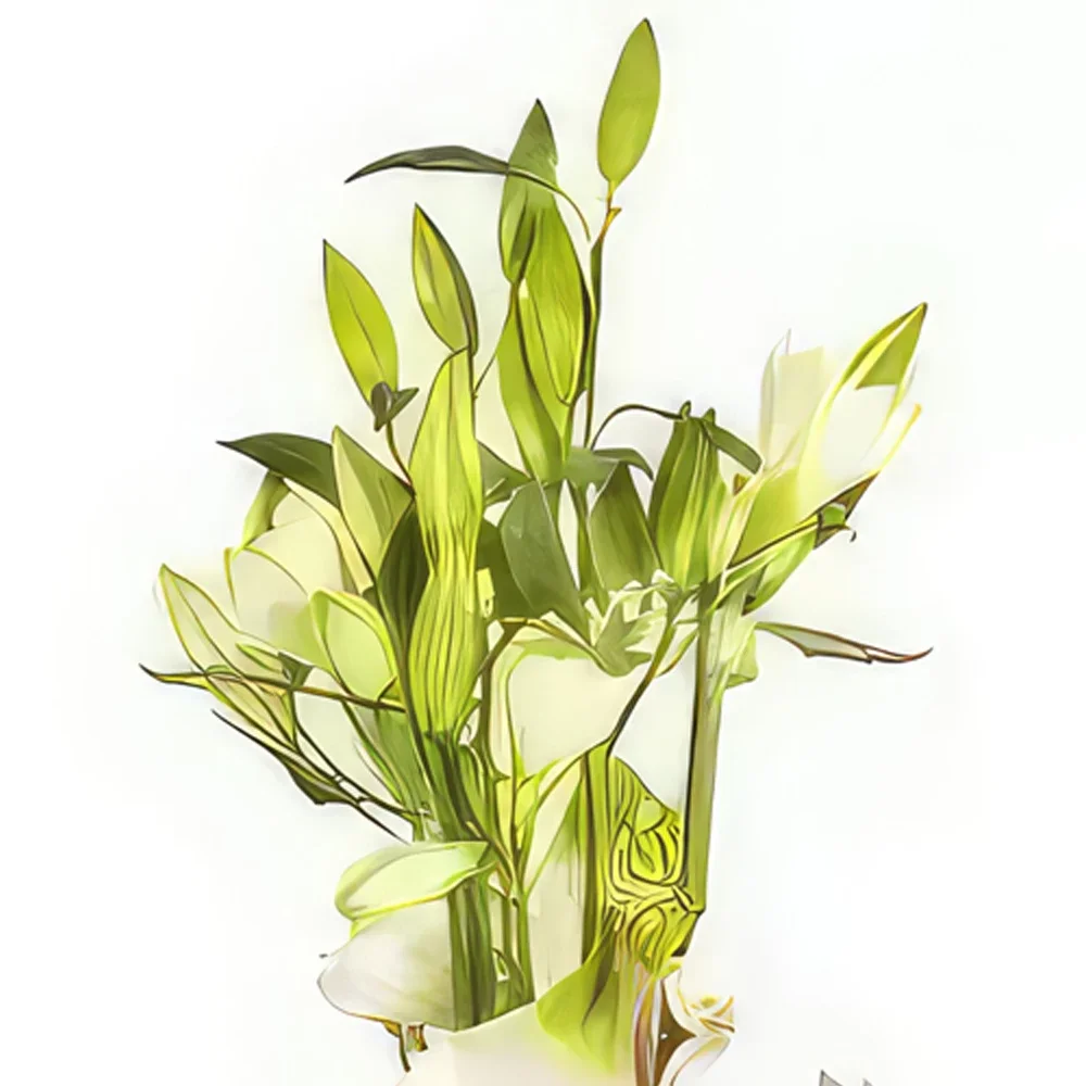 Pau blomster- Hvid marengs blomsterarrangement Blomst buket/Arrangement
