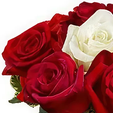 Prokuplje flowers  -  I Miss You Flower Bouquet/Arrangement