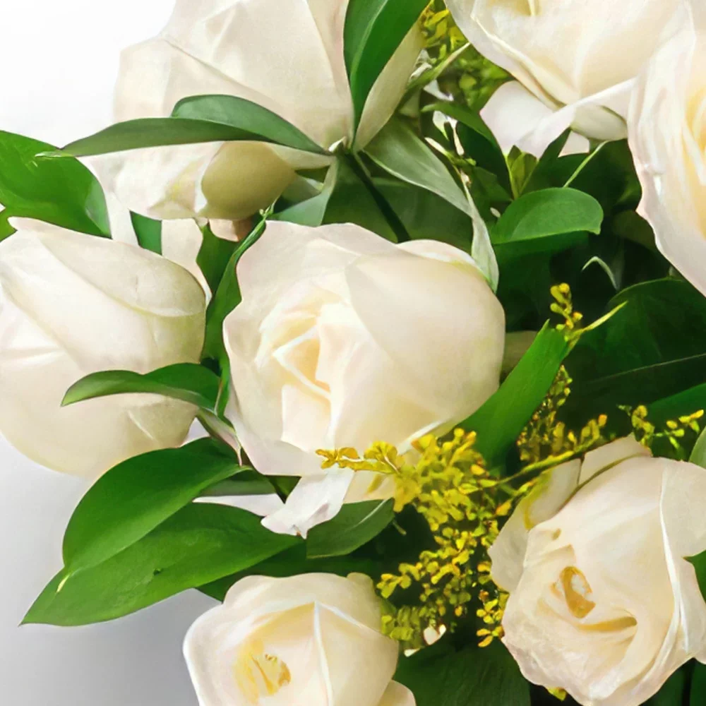بائع زهور ساو باولو- سلة مع 24 الورود البيضاء والشوكولاتة باقة الزهور
