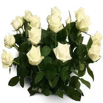 Antias flowers  -  Antique Roses Flower Delivery