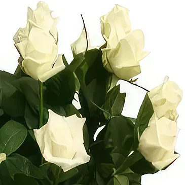 Olympia flowers  -  Antique Roses Flower Bouquet/Arrangement